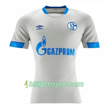 Billige Fotballdrakter FC Schalke 04 Bortedraktsett 2018/19 Kortermet